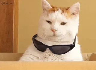 😎 @TVstickers cats, стикер Telegram 5 из 50