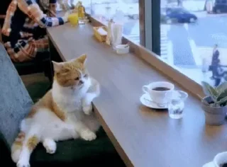 ☕ @TVstickers Coffee, стікер Telegram 15 з 21