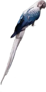 🌟 птитсы, Telegram sticker 19 of 22