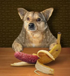 🍌 ВОВА, sticker Telegram 11 sur 45