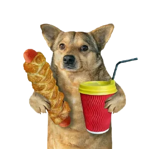 🌯 ВОВА, sticker Telegram 15 sur 45