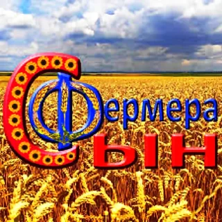 вова конч нахуй