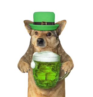 🍀 ВОВА, sticker Telegram 18 sur 45