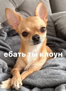 🤗 лайтулик, Telegram sticker 17 of 46