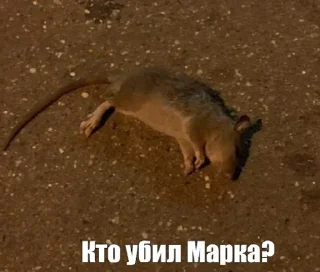 😭 Мир мемов и памперсов, Telegram sticker 15 of 120