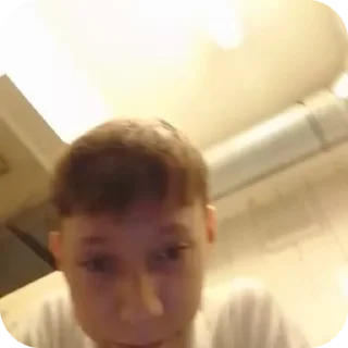🌟 🦫 Corresponding Beaver, стікер Telegram 12 з 14
