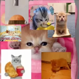 🥖 дрожжи, sticker Telegram 7 sur 48