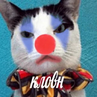 🤡 💙вибрані меми💛, стикер Telegram 9 из 118