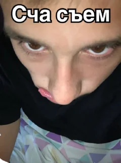 😉 Тишка🫡, sticker Telegram 8 sur 16