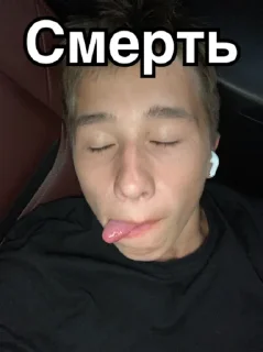 😵‍💫 Тишка🫡, sticker Telegram 9 sur 16