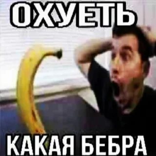 🤭 kitty, стикер Telegram 18 из 118