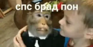😬 Обезьянки @Grisa16vo, sticker Telegram 24 sur 25