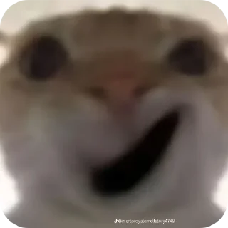 🤲 Чайна намбер ван by @Kaizer737, Telegram sticker 24 of 31