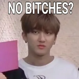 🤨 skz "no bitches?", Telegram sticker 24 of 40