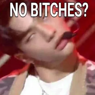 🤨 skz "no bitches?", Telegram sticker 19 of 40