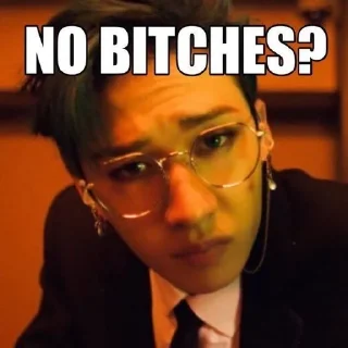 🤨 skz "no bitches?", Telegram sticker 8 of 40