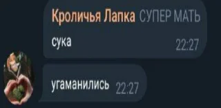 👌 чатик, sticker Telegram 19 sur 89