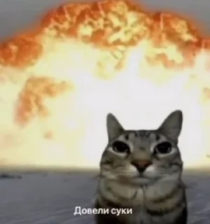 🌟 На случай важных переговоров, sticker Telegram 19 sur 120
