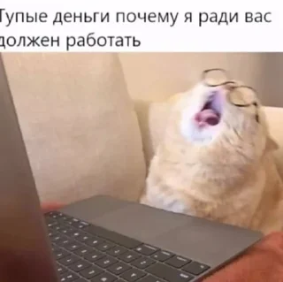 🌟 На случай важных переговоров, sticker Telegram 11 sur 120
