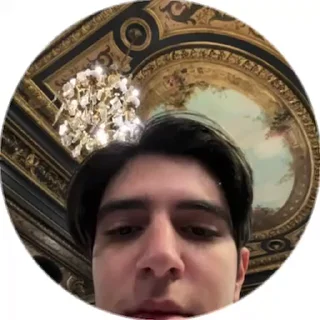 😏 Дурка і кружочки 2(ще не вмерла україна), sticker Telegram 21 sur 41