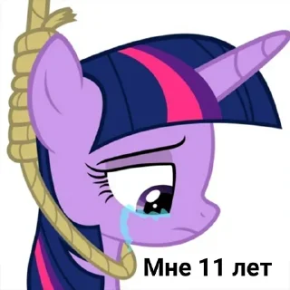 Twilight Sparkle ✨