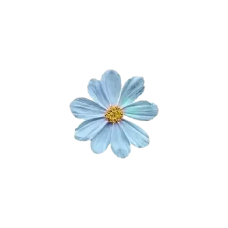 🌸 ;;jhn..𓆩💙𓆪 「 @wexsavi 」, Telegram sticker 8 of 22