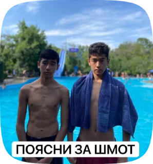 ☠️ НЕФОРЫ, Telegram sticker 18 of 49