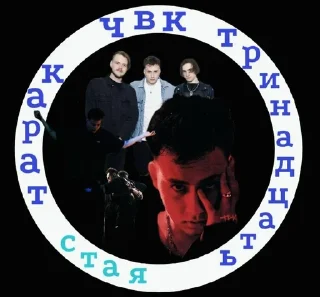 🌟 Сашка, стикер Telegram 11 из 43