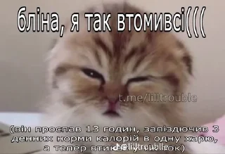 🌟 Еееее блять, стикер Telegram 5 из 7