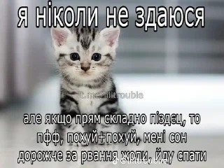 Еееее блять