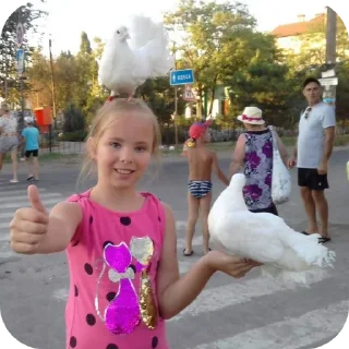 🎢 Просто шось, стикер Telegram 14 из 20