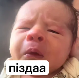 🌟 шось тіпа стіків, sticker Telegram 2 sur 22