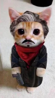 🐱 🥤: @aaraa % @ucucc ., стикер Telegram 11 из 109