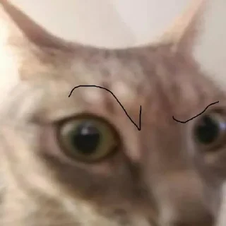 это что