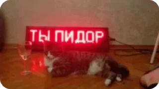 🌟 Хм итс вху, стикер Telegram 19 из 115