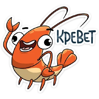 Shrimp by @shurmin_jpg