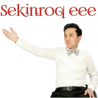 ⭐️ 🎼 Bahrom Nazarov 🎤, стикер Telegram 14 из 30