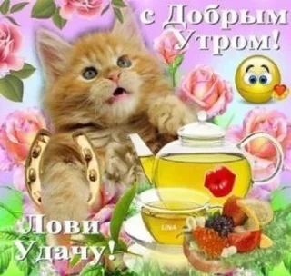 🌟 Пенсионерские открытки вассап, sticker Telegram 22 sur 25