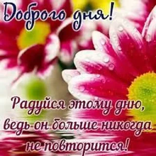 🌟 Пенсионерские открытки вассап, sticker Telegram 12 sur 25