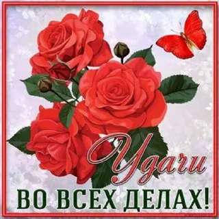 🌟 Пенсионерские открытки вассап, sticker Telegram 17 sur 25
