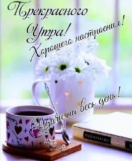 🌟 Пенсионерские открытки вассап, sticker Telegram 20 sur 25