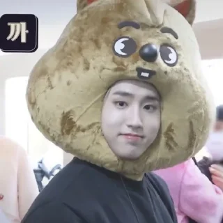 🐹 джисон, Telegram sticker 14 of 35