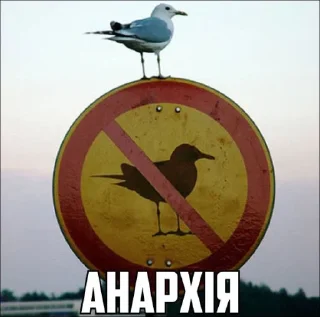 що 3