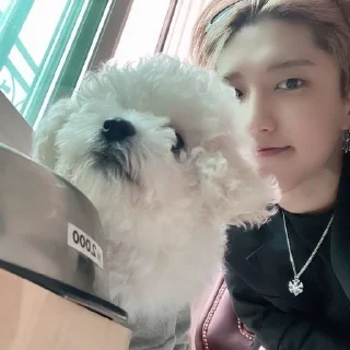 🦷 han jisung from @helpchinho, стикер Telegram 17 из 24