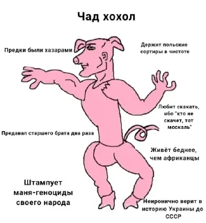 🤩 Анти хохол @nxdachi, Telegram sticker 19 of 41