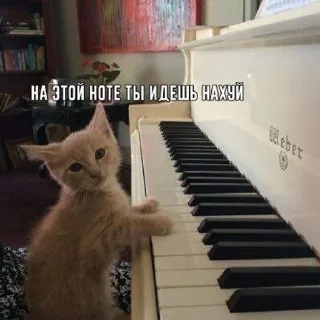 ?