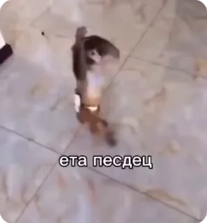 🌟 Попец, Telegram sticker 6 of 30