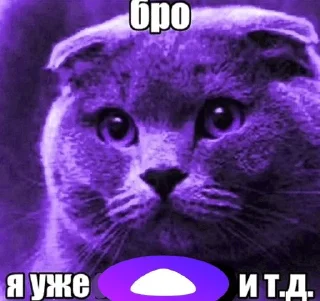 🌟 Бро и тд., стикер Telegram 16 из 29