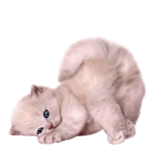 🥵 раскромсай мне лицо, стикер Telegram 13 из 95