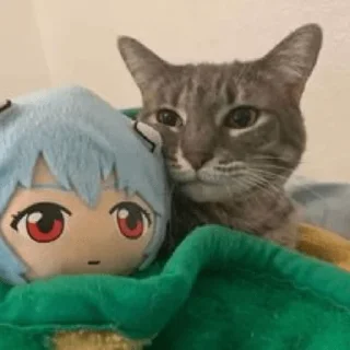 👩‍❤️‍👨 Ээээ, стікер Telegram 9 з 38
